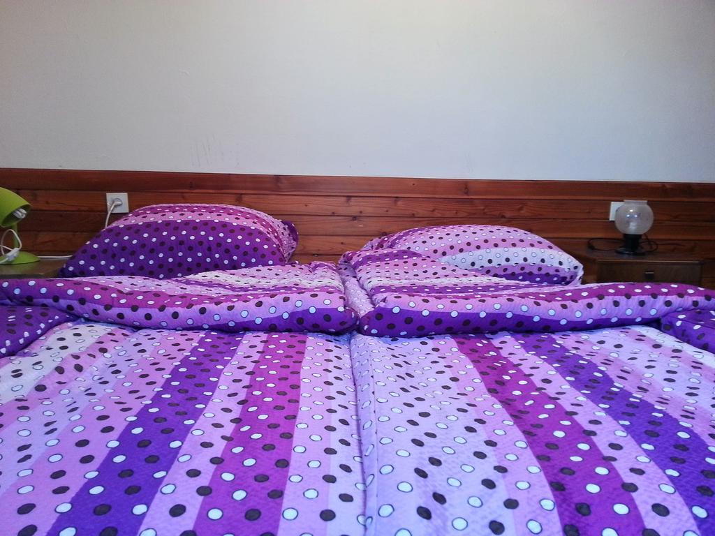 Vojsko Guest House Beli Kamen מראה חיצוני תמונה