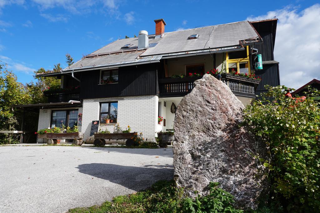 Vojsko Guest House Beli Kamen מראה חיצוני תמונה