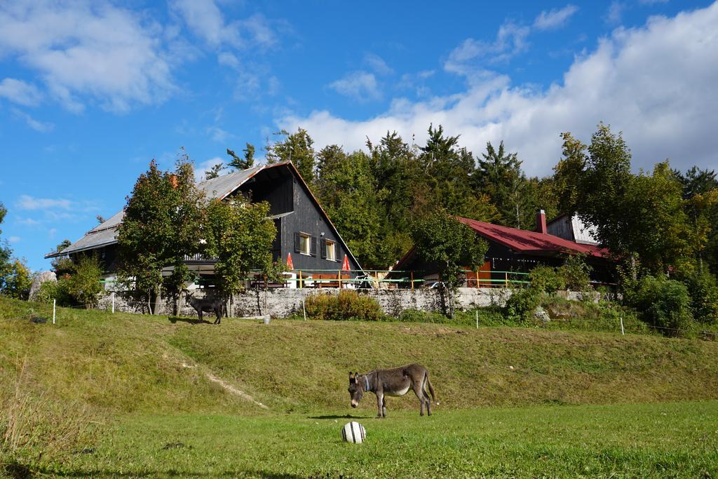 Vojsko Guest House Beli Kamen מראה חיצוני תמונה